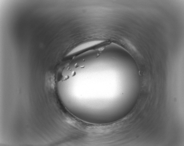 X0000068820025200605081157