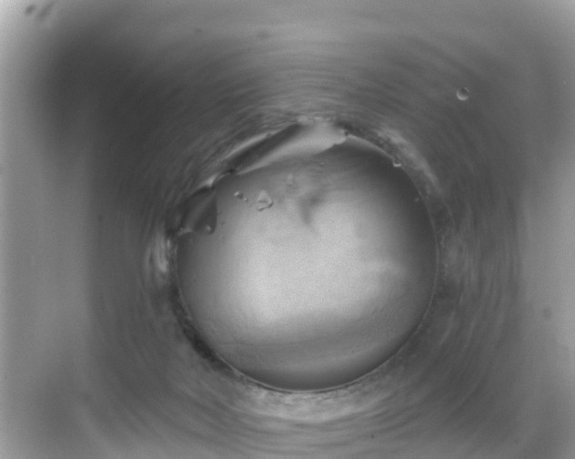 X0000068820026200605081157