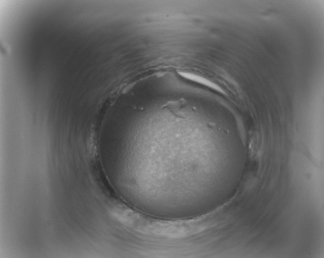 X0000068820029200605081157