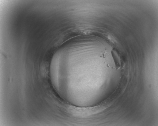 X0000068820030200605081157