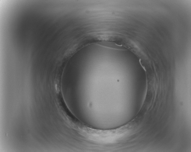 X0000068820031200605081157