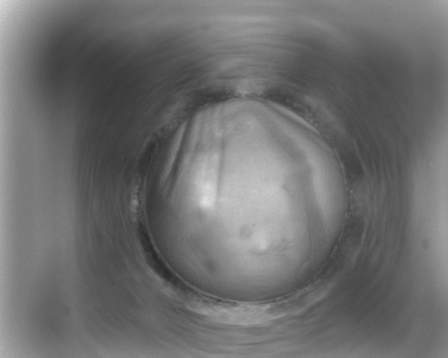 X0000068820032200605081157