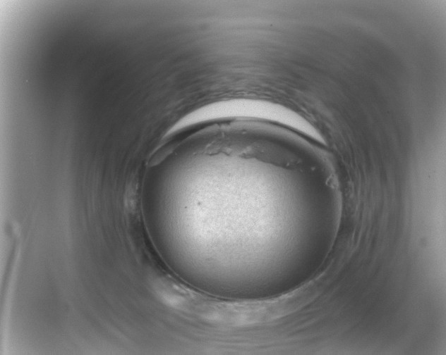 X0000068820033200605081157