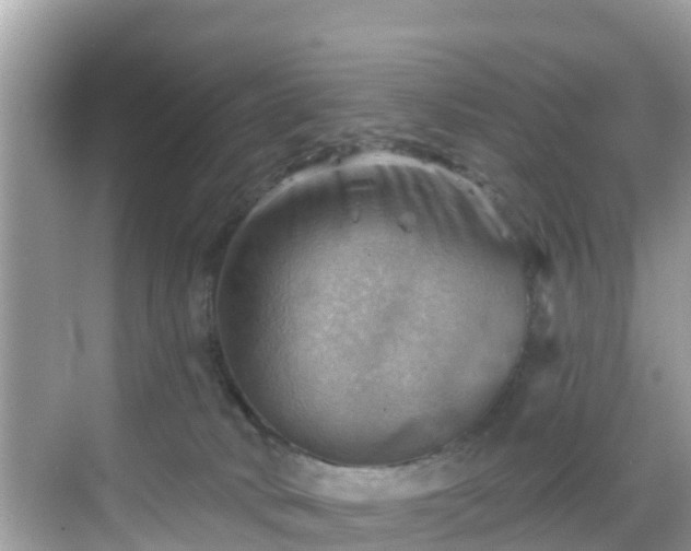 X0000068820034200605081157