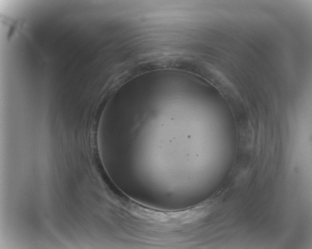 X0000068820035200605081157