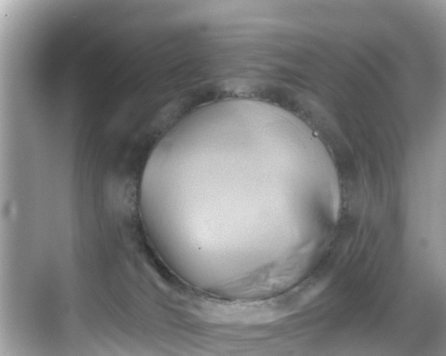 X0000068820036200605081157