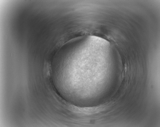 X0000068820038200605081157