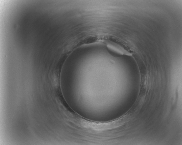 X0000068820039200605081157