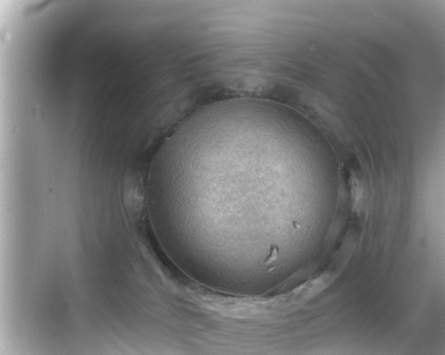 X0000068820040200605081157