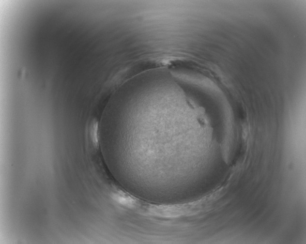 X0000068820041200605081157