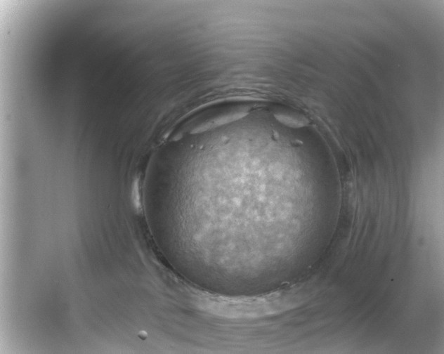 X0000068820042200605081157