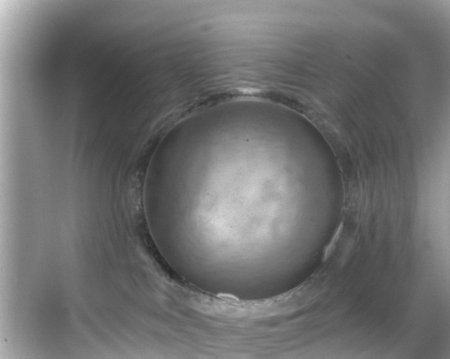 X0000068820043200605081157