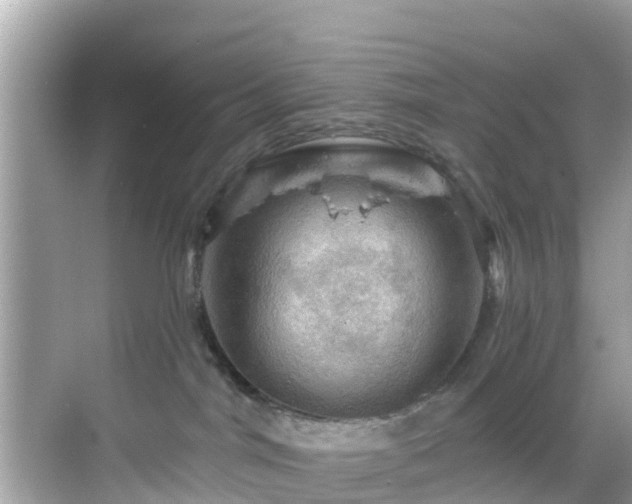 X0000068820044200605081157