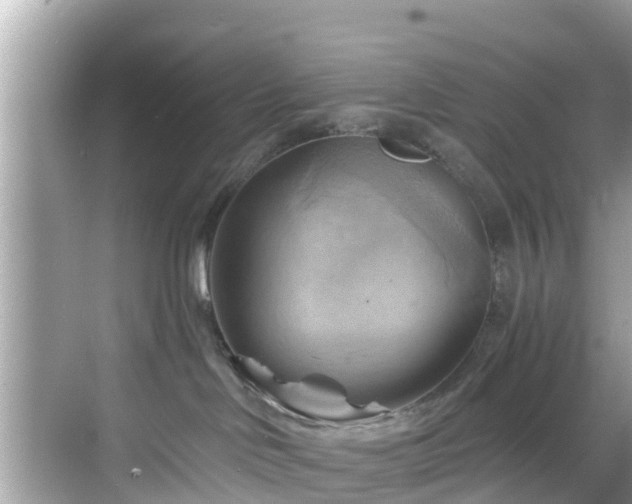 X0000068820046200605081157