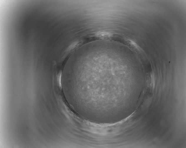 X0000068820047200605081157