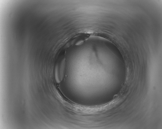 X0000068820048200605081156