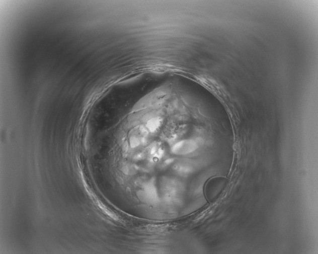 X0000068820049200605081156