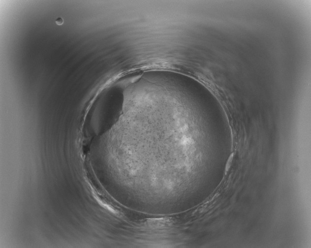 X0000068820050200605081156