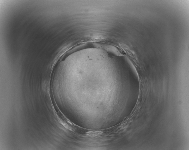 X0000068820051200605081156