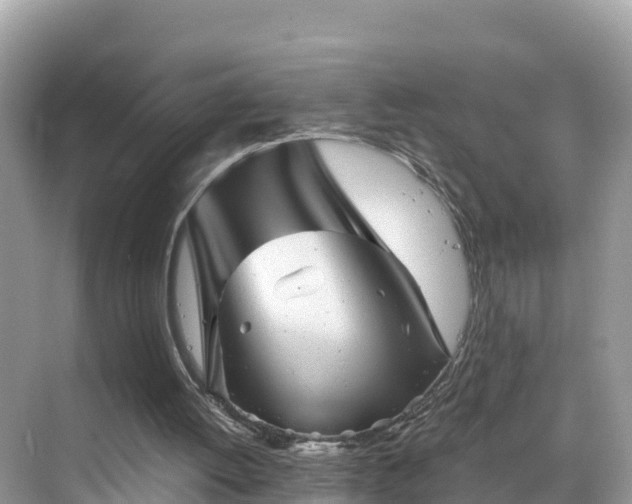 X0000068820052200605081156