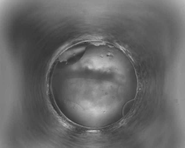 X0000068820053200605081156