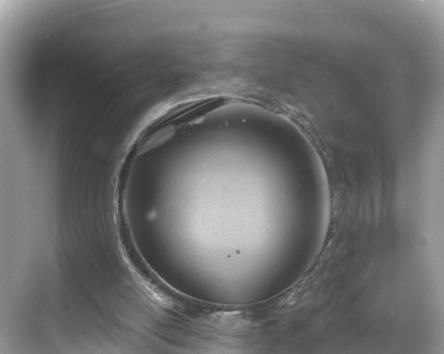 X0000068820054200605081156