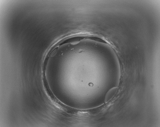 X0000068820055200605081156