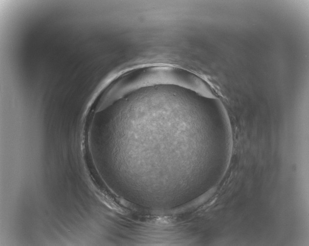 X0000068820056200605081156