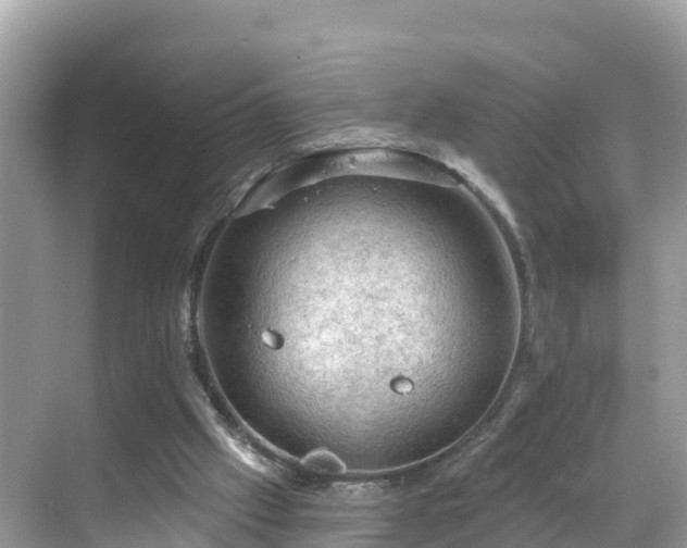 X0000068820057200605081156