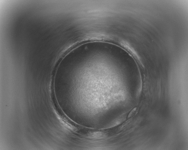 X0000068820058200605081156