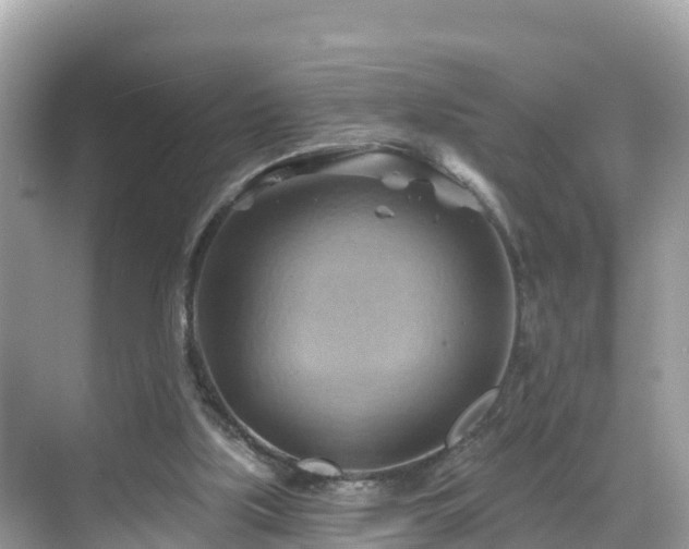 X0000068820059200605081156