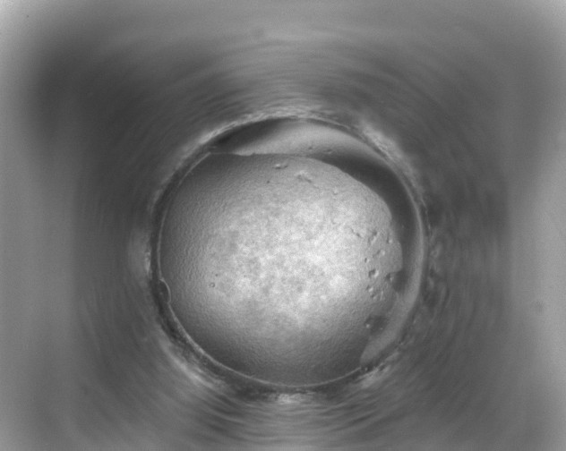 X0000068820060200605081156