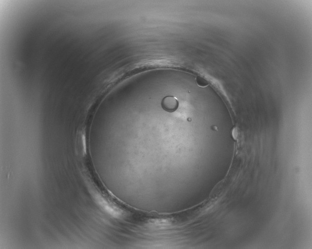 X0000068820061200605081156