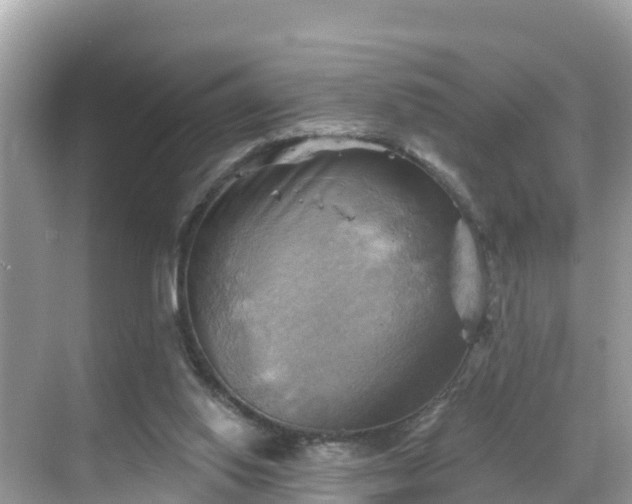 X0000068820062200605081156