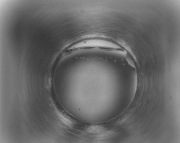 X0000068820063200605081156