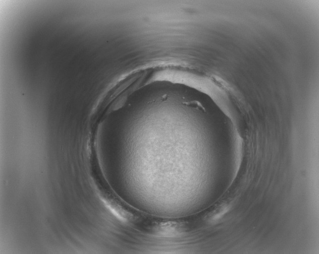 X0000068820064200605081156