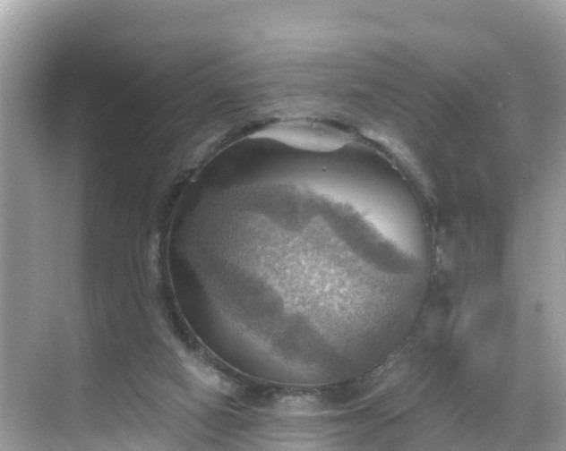 X0000068820066200605081156