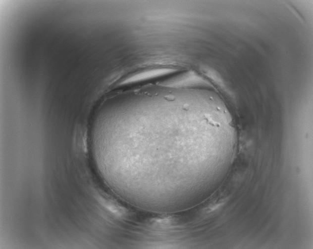 X0000068820068200605081156