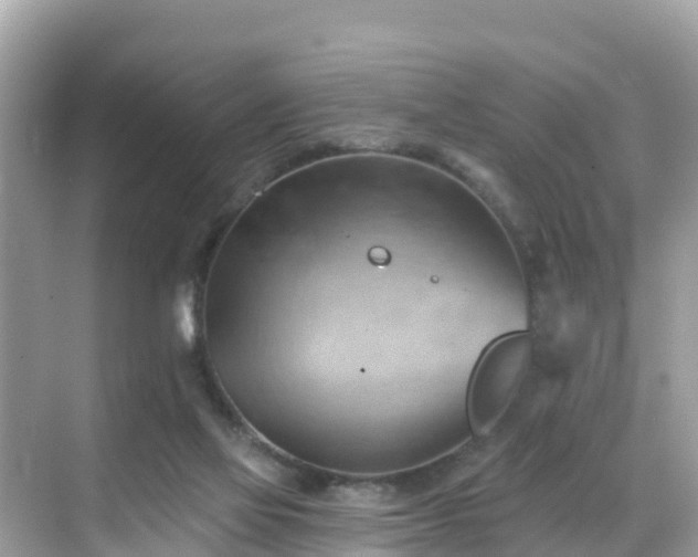 X0000068820069200605081156