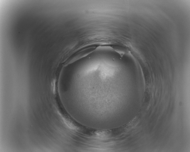 X0000068820070200605081156