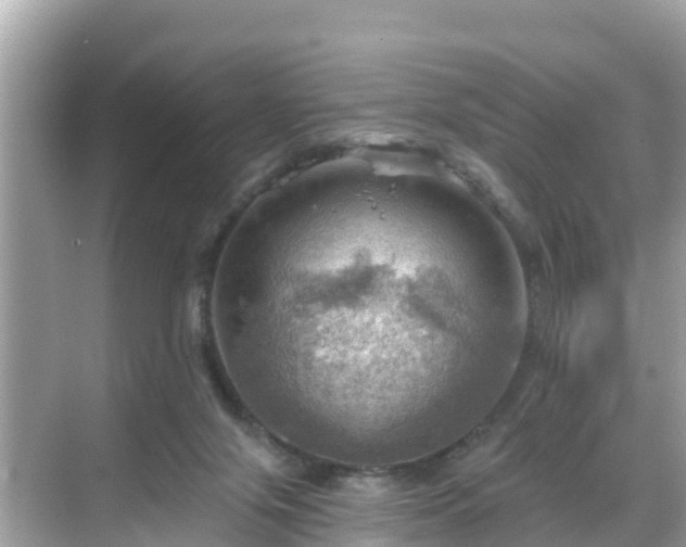 X0000068820071200605081156