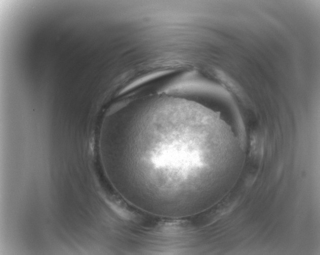 X0000068820072200605081156