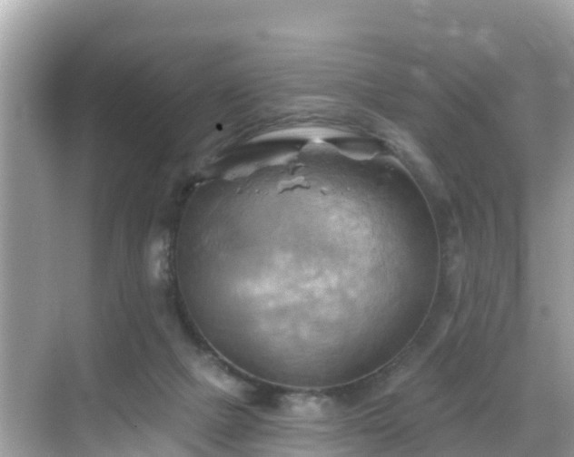 X0000068820073200605081156