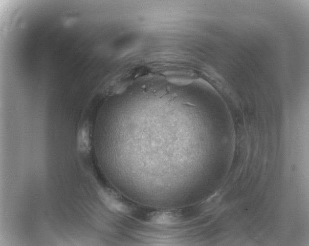 X0000068820074200605081156