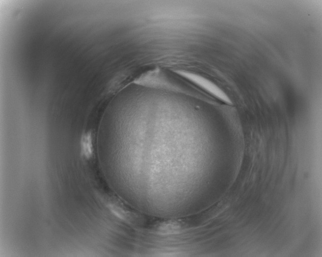 X0000068820075200605081156