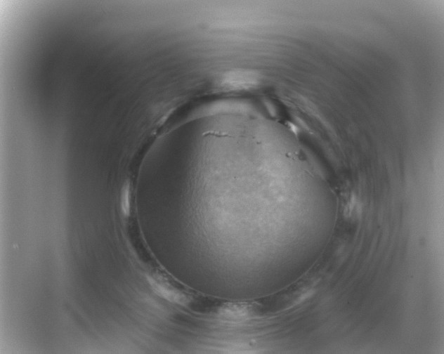 X0000068820076200605081156