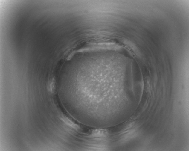 X0000068820077200605081156