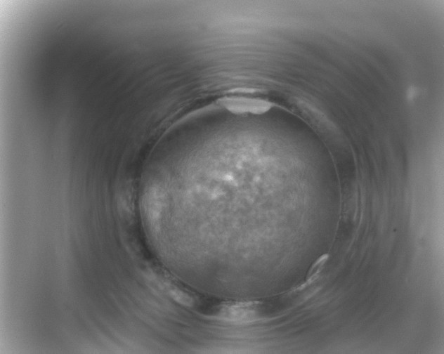 X0000068820078200605081156