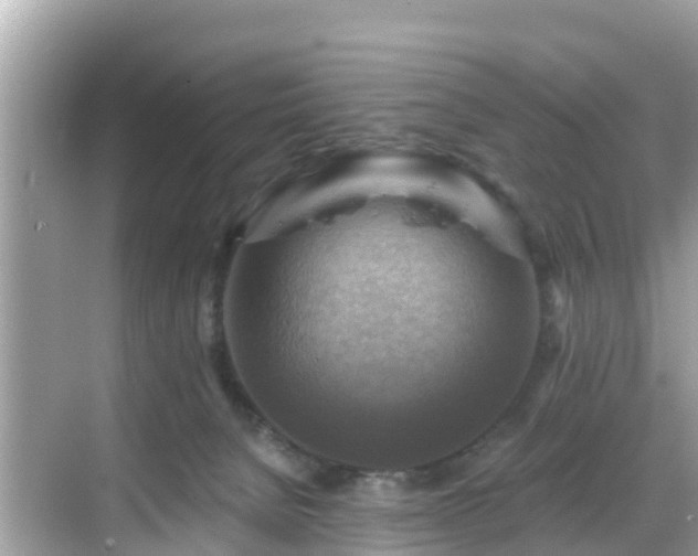 X0000068820080200605081156