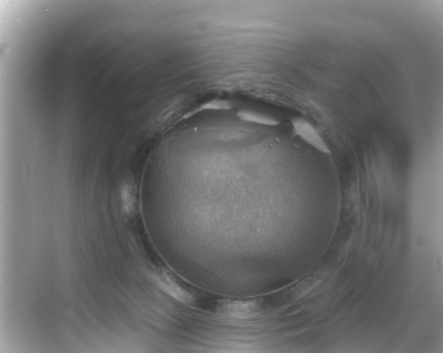 X0000068820081200605081156